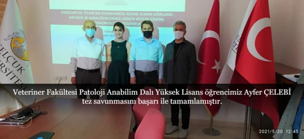 Veteriner Fakültesi Patoloji Anabilim Dalı